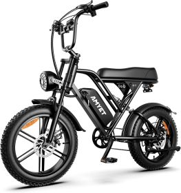G60 Electric Bike-1000W Single Motor, 48V 15AH, 45-55KM Range, 30MPH Speed, 20-Inch Fat Tires, Dual Suspension, Disc Brake E-Brake (Option: Black)